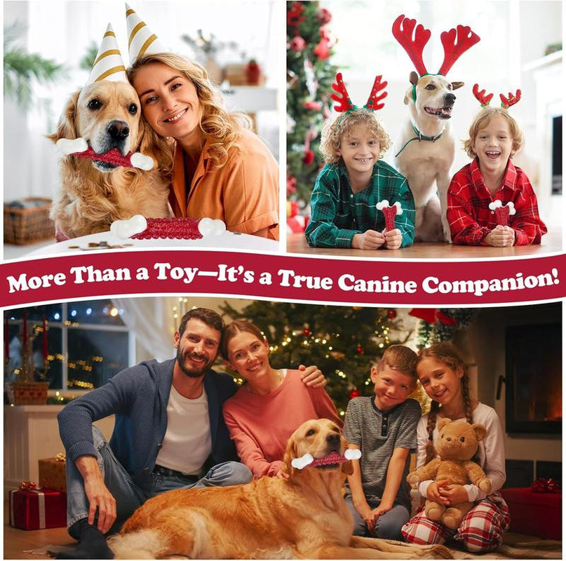 Apasiri Tough Dog Toys, Toys for Aggressive Chewers Large Breed, Bone-Shaped, Almost Indestructible